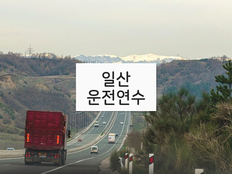 일산운전연수 후기
