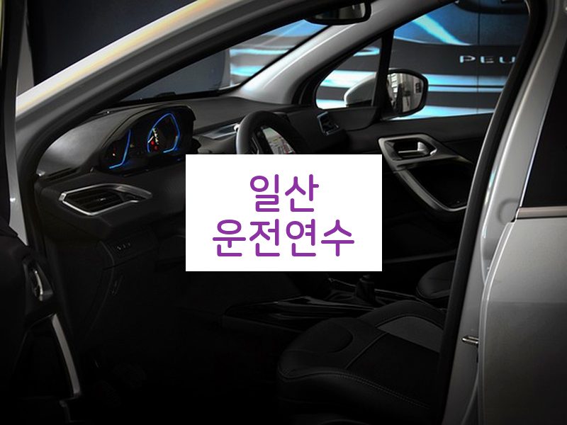 일산운전연수 후기