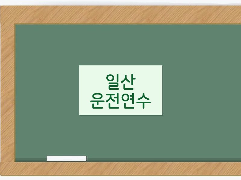 일산운전연수 후기