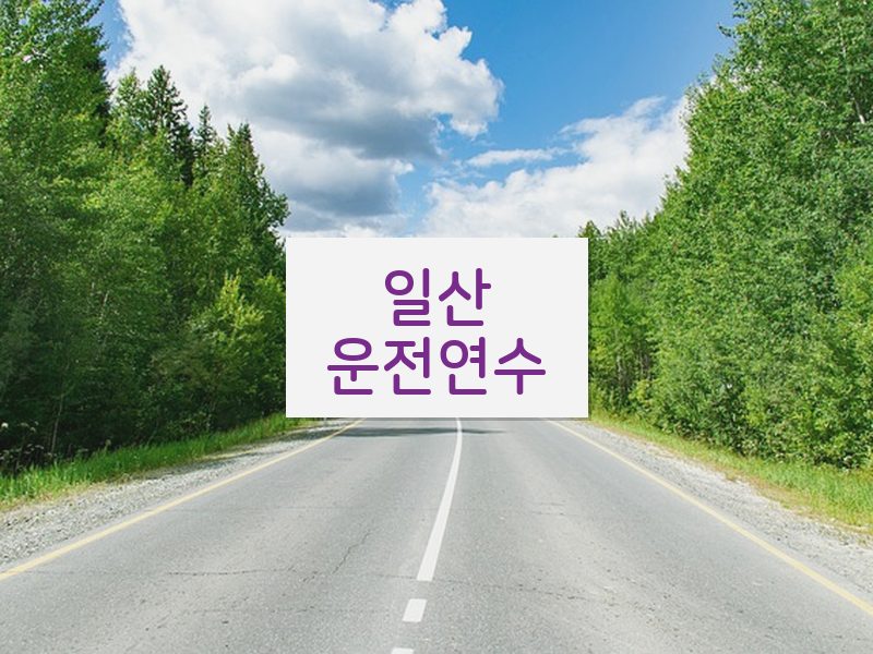 일산운전연수 후기
