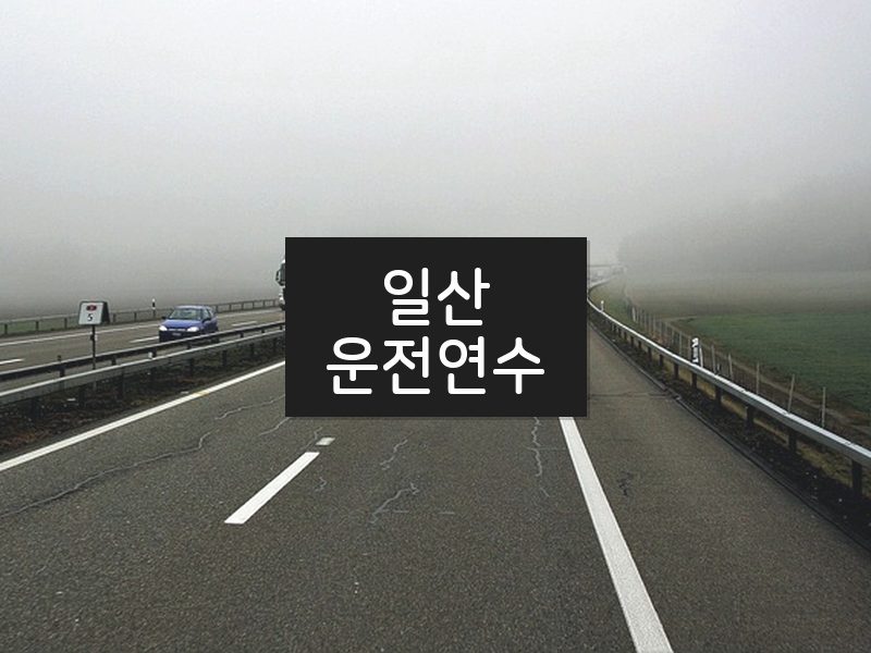 일산운전연수 후기