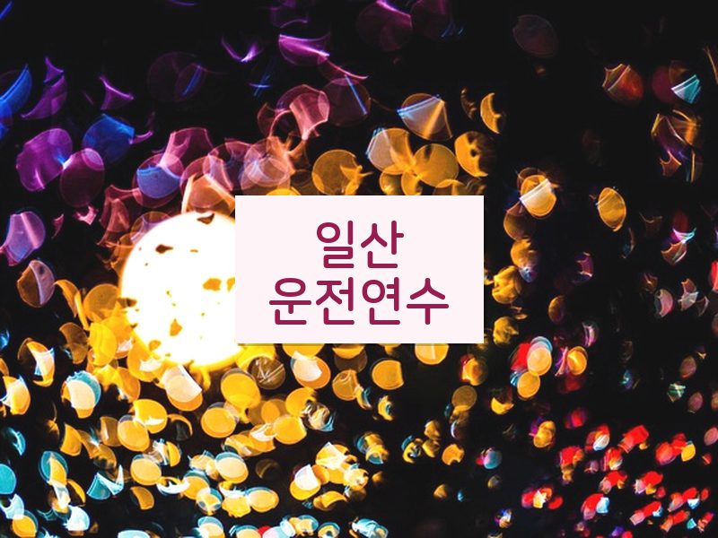 일산운전연수 후기
