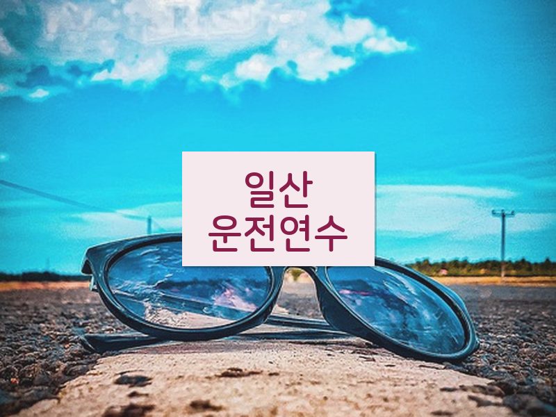 일산운전연수 후기