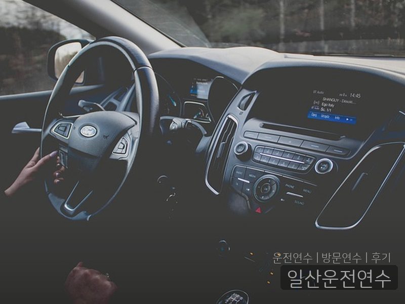 일산운전연수 후기