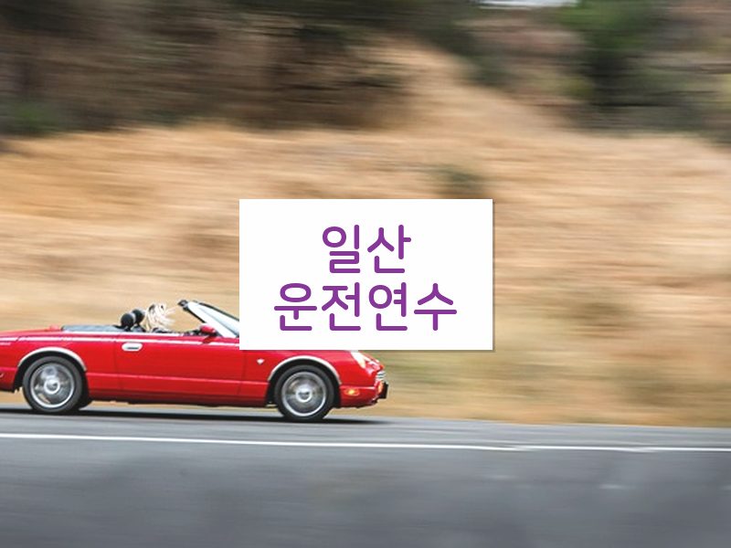 일산운전연수 후기