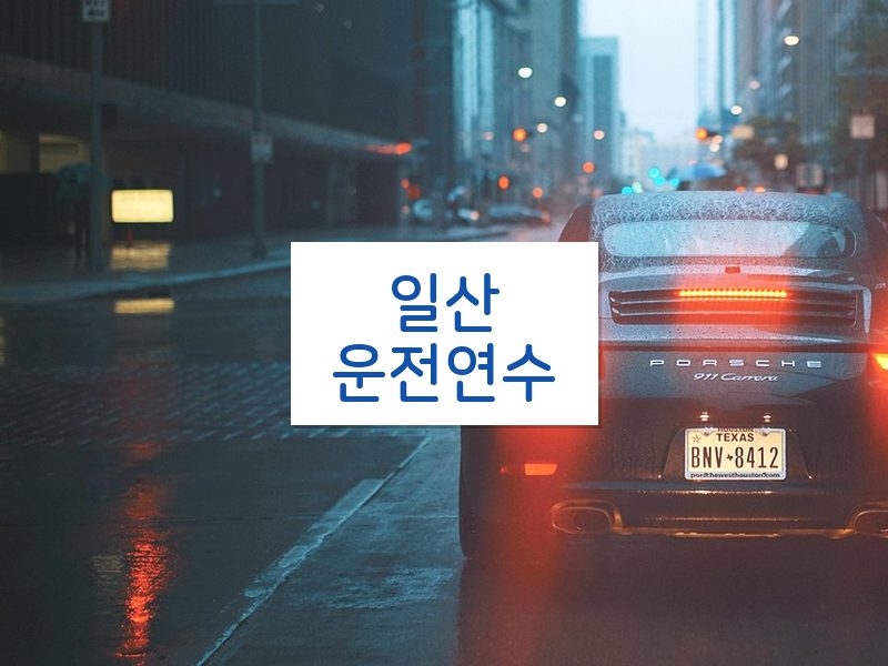 일산운전연수 후기