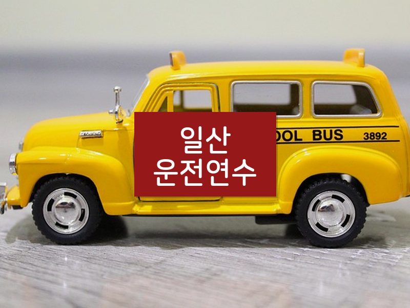 일산운전연수 후기