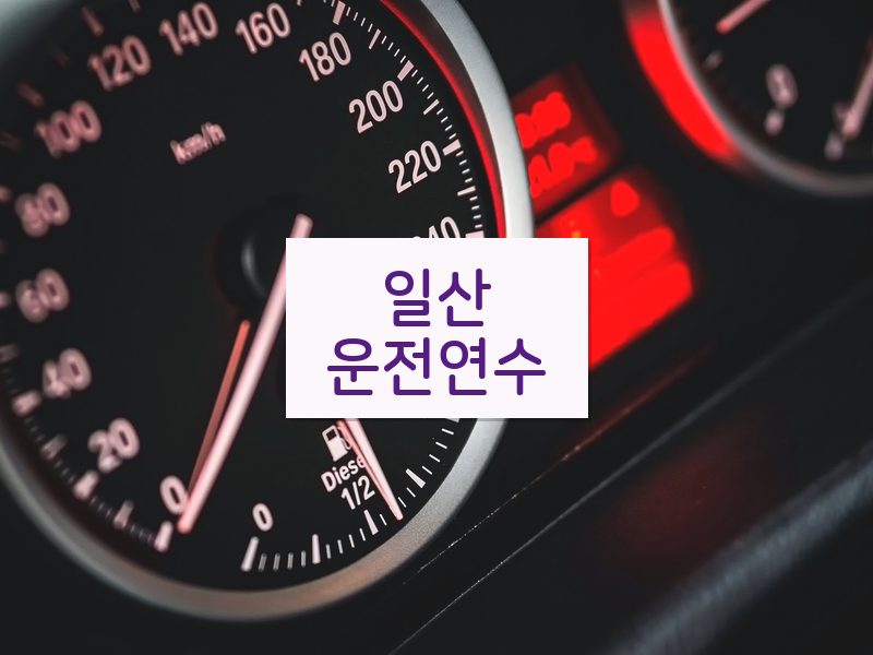 일산운전연수 후기