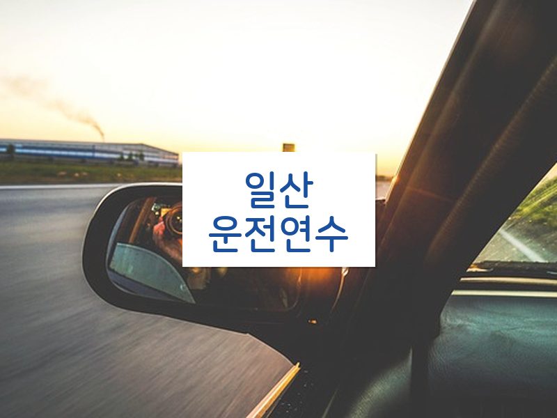 일산운전연수 후기