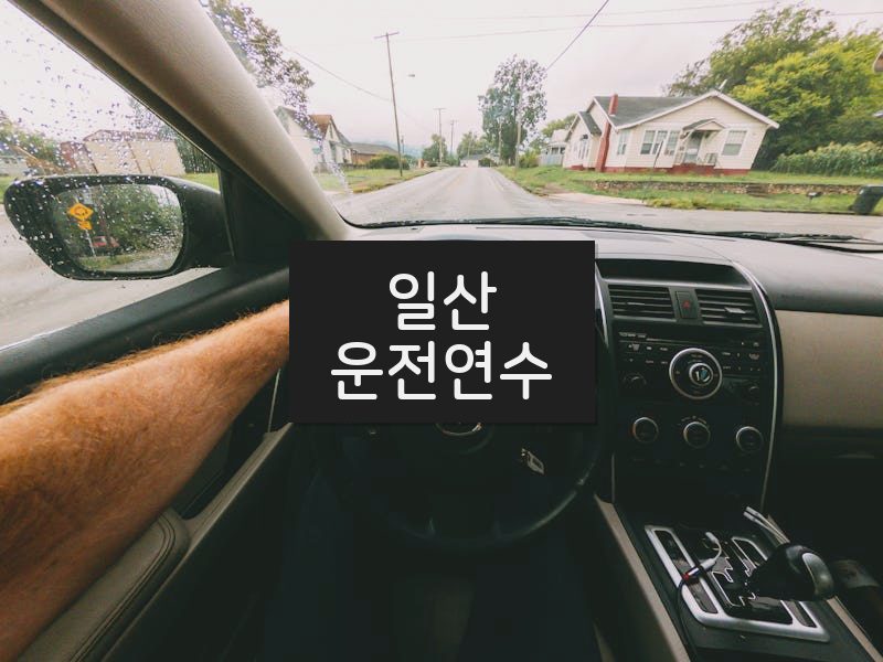 일산운전연수 후기