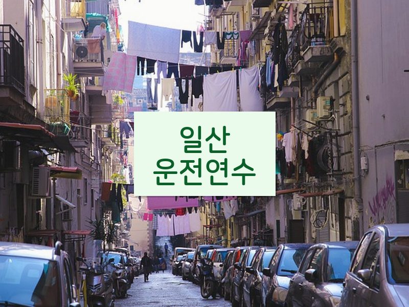 일산운전연수 후기