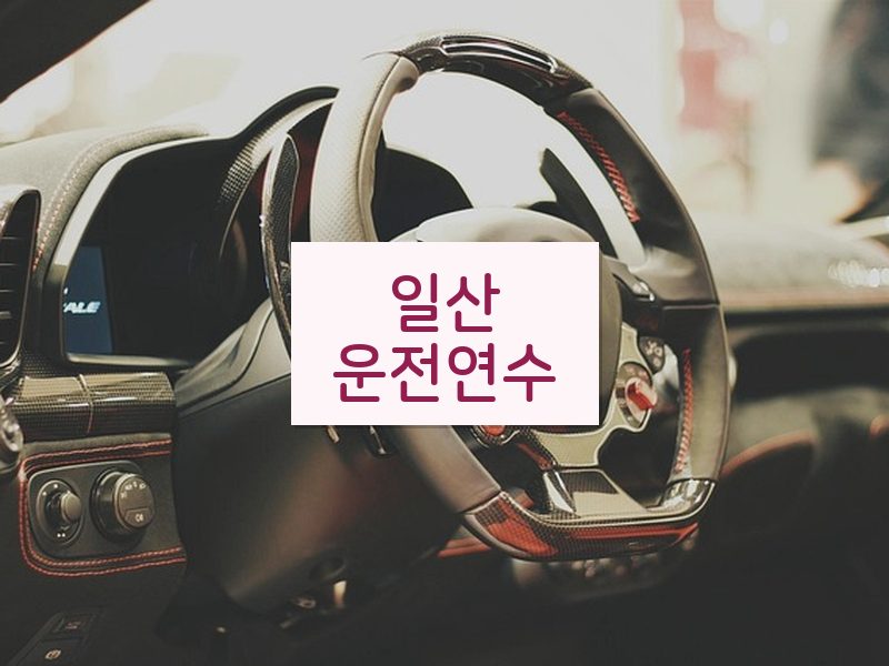 일산운전연수 후기