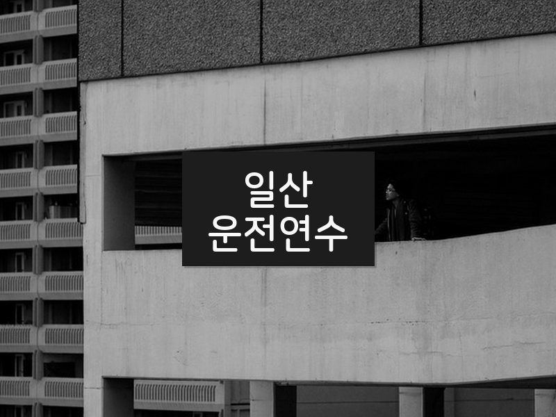 일산운전연수 후기