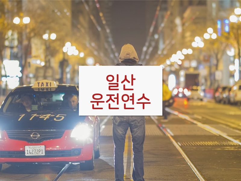일산운전연수 후기