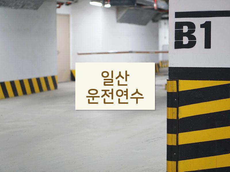 일산운전연수 후기