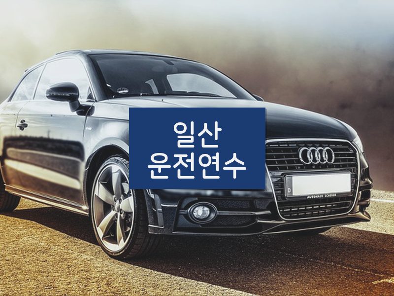 일산운전연수 후기