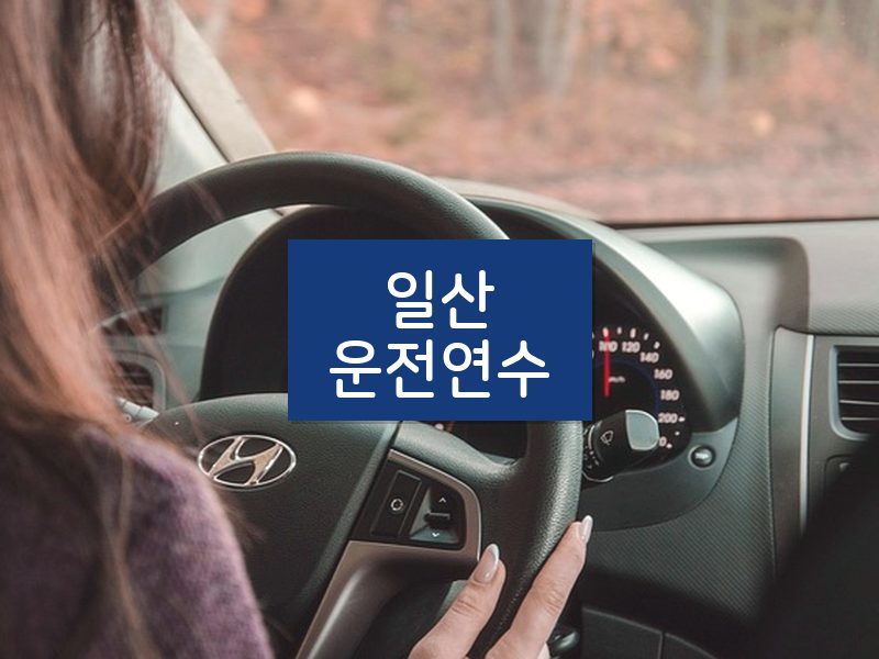 일산운전연수 후기