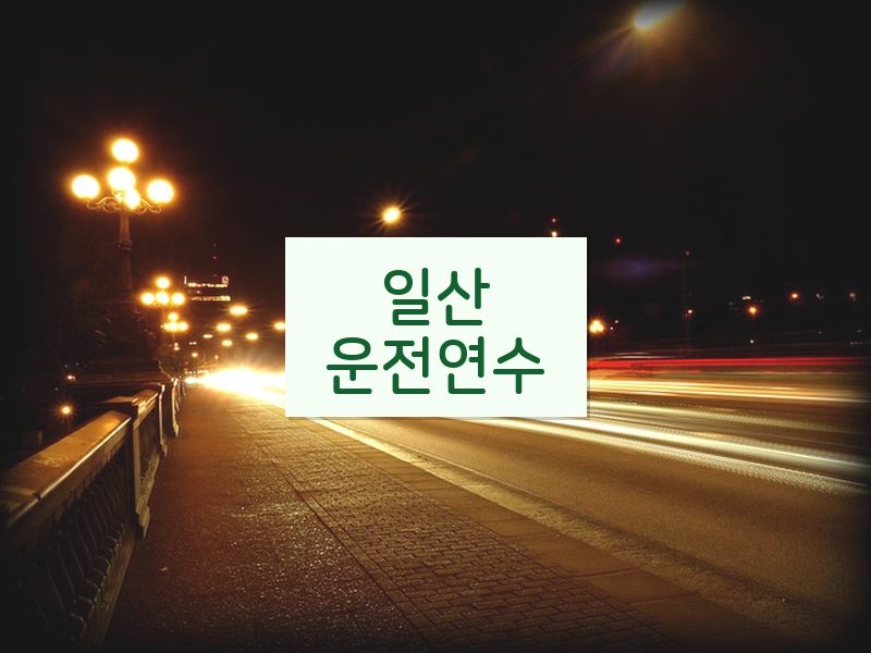 일산운전연수 후기