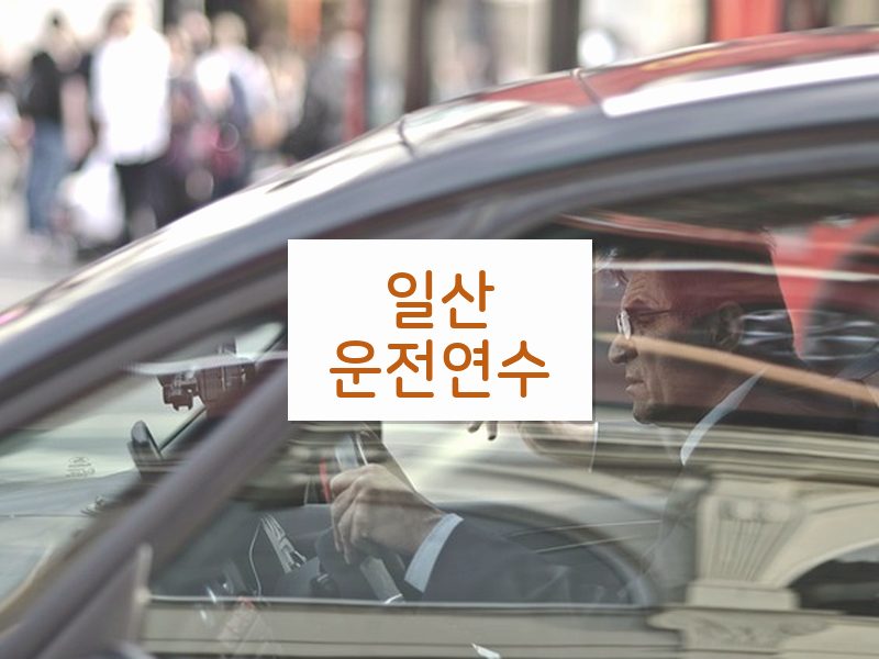 일산운전연수 후기