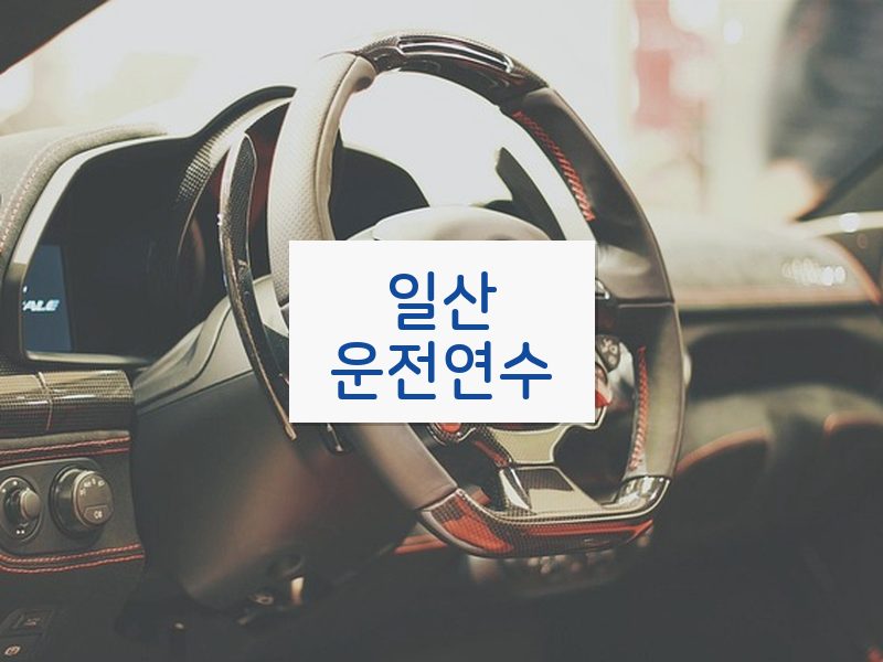 일산운전연수 후기