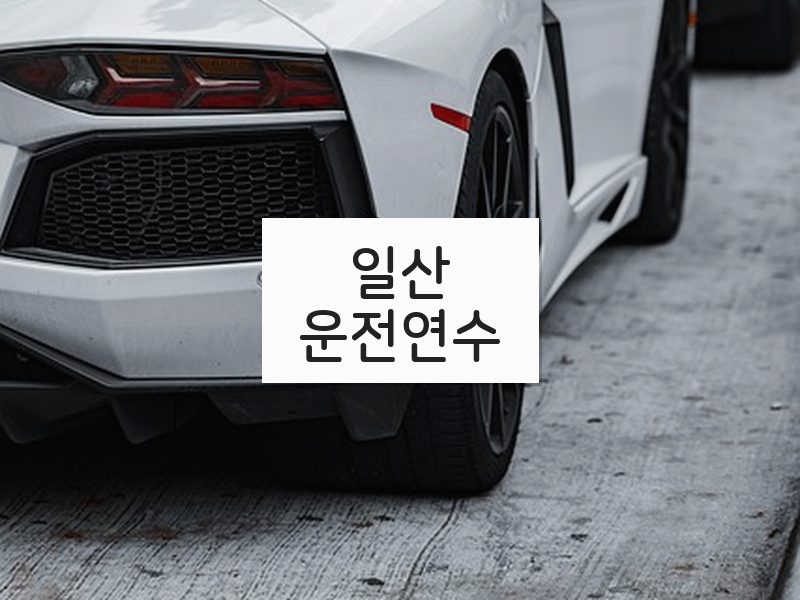 일산운전연수 후기
