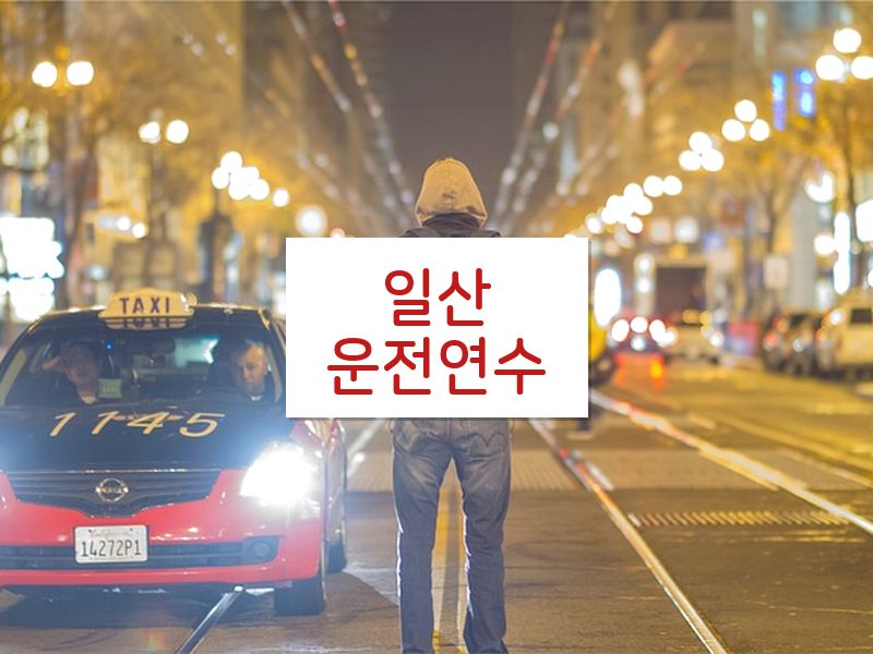 일산운전연수 후기