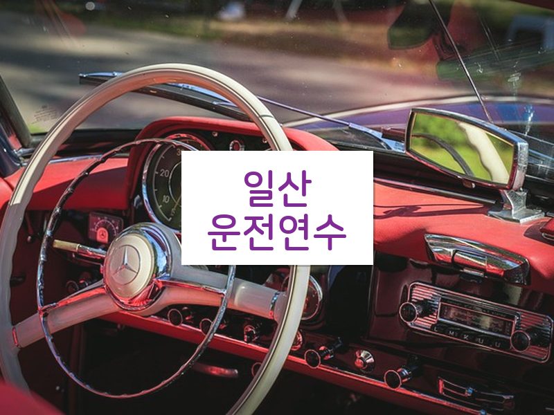 일산운전연수 후기