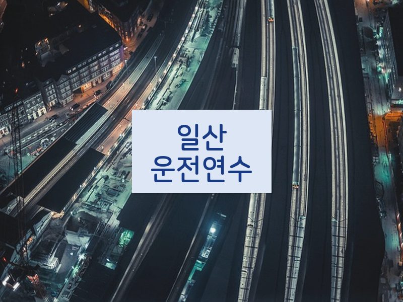 일산운전연수 후기