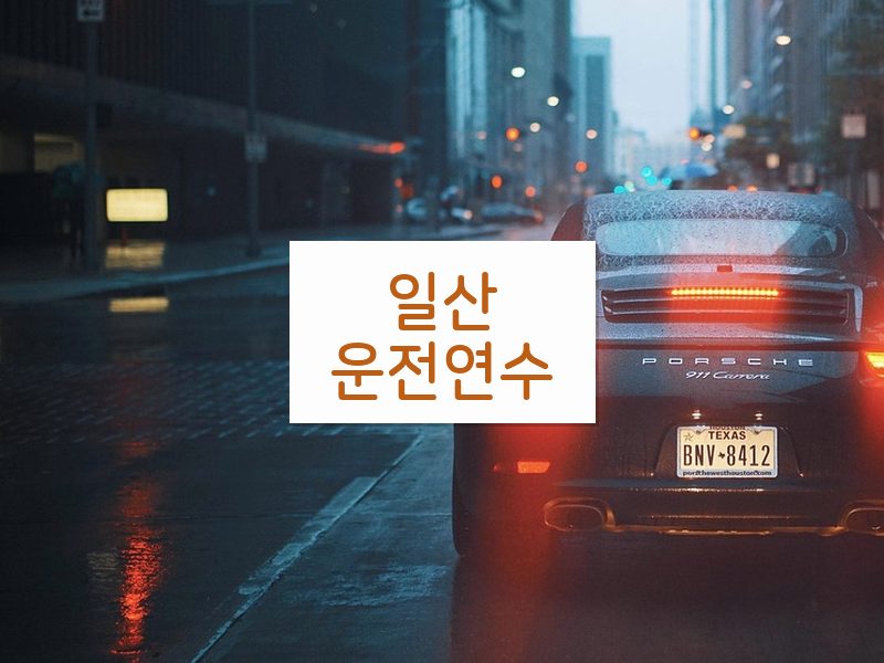 일산운전연수 후기