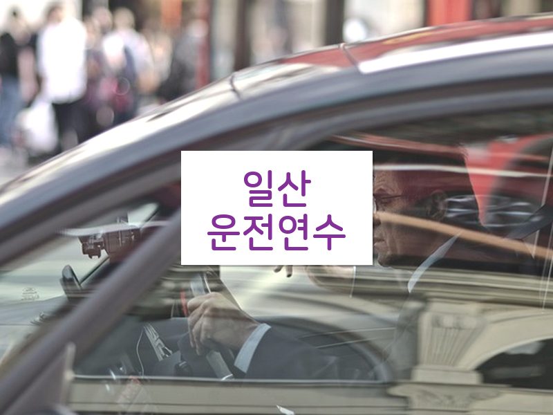 일산운전연수 후기