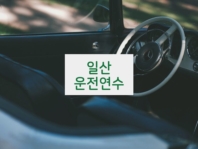 일산운전연수 후기
