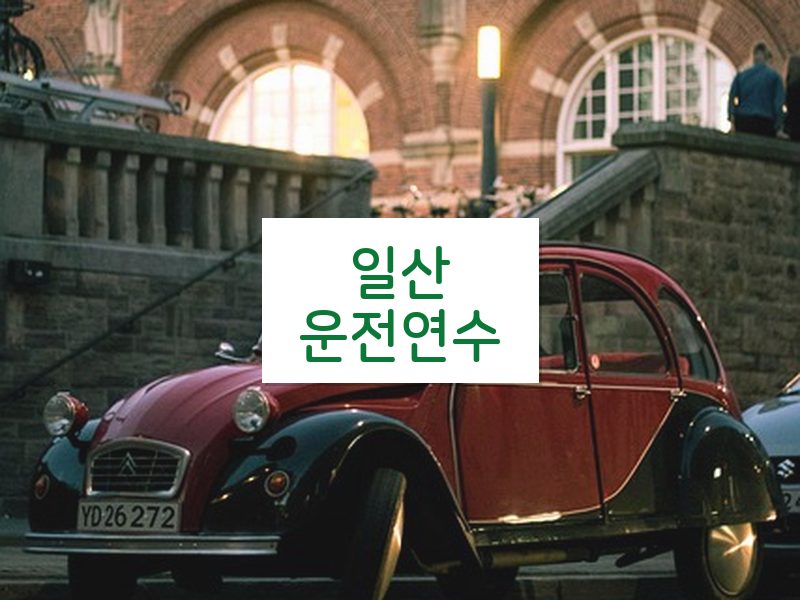 일산운전연수 후기