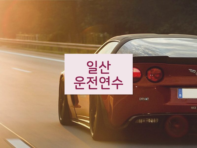 일산운전연수 후기