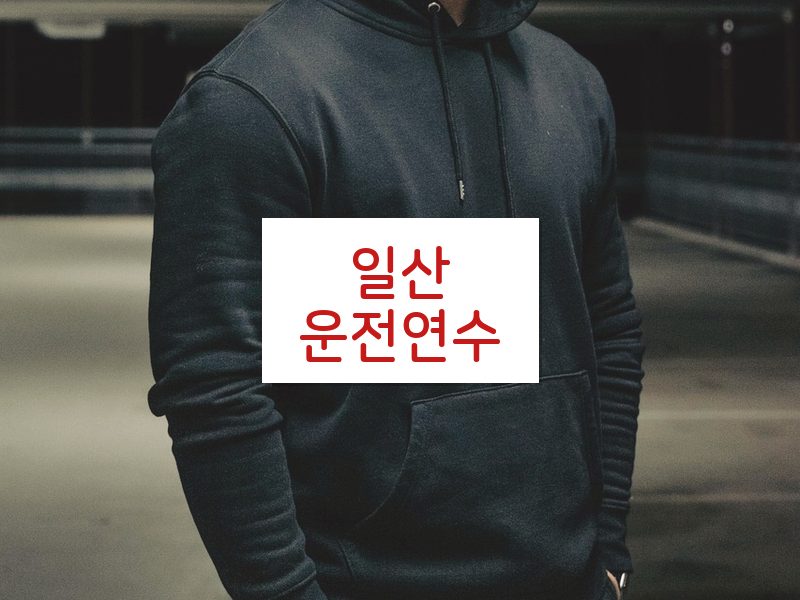 일산운전연수 후기