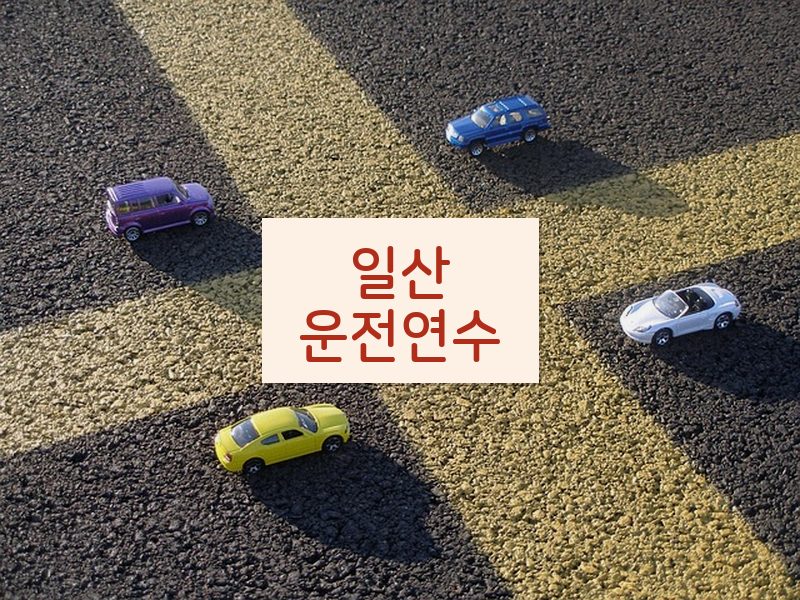 일산운전연수 후기
