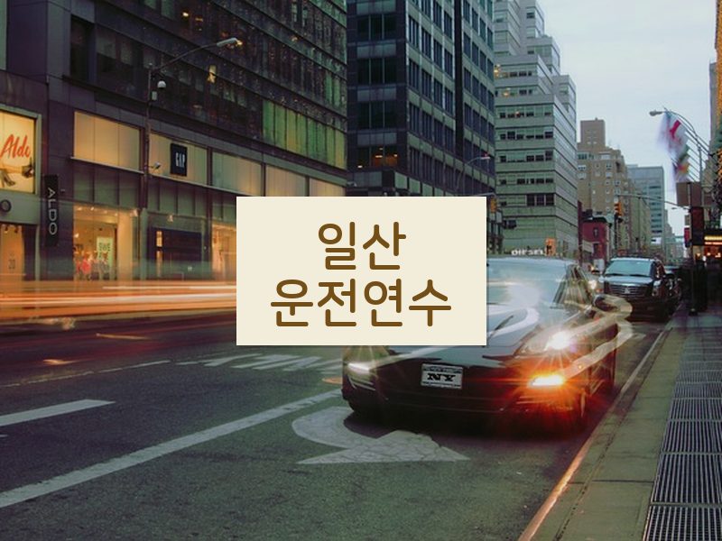일산운전연수 후기