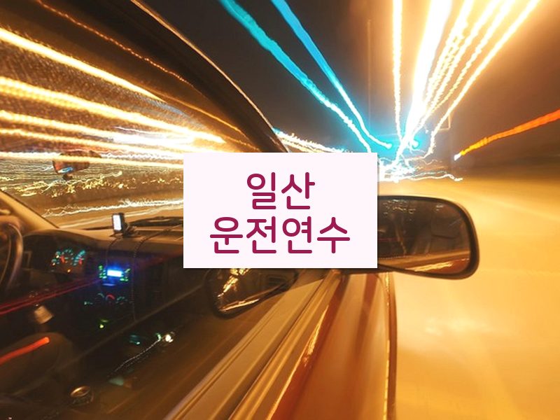 일산운전연수 후기