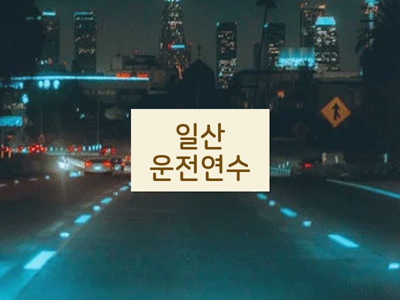 일산운전연수 후기