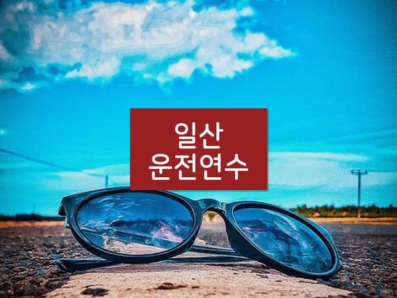 일산운전연수 후기