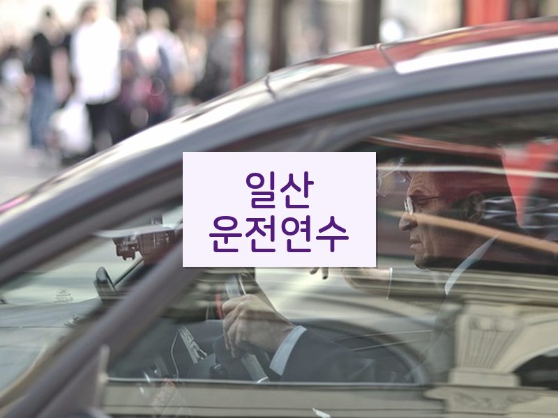 일산운전연수 후기