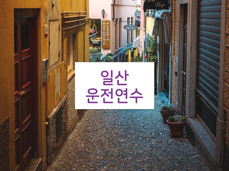 일산운전연수 후기
