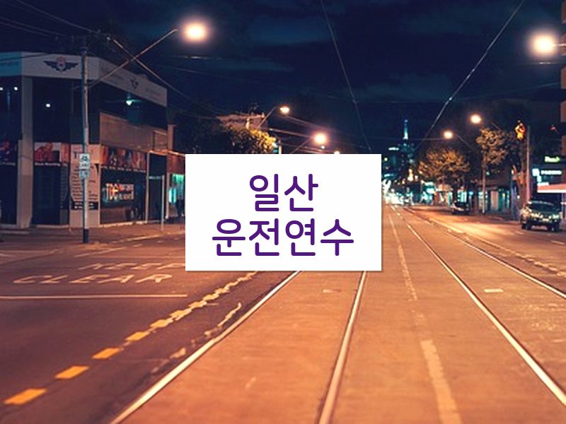 일산운전연수 후기