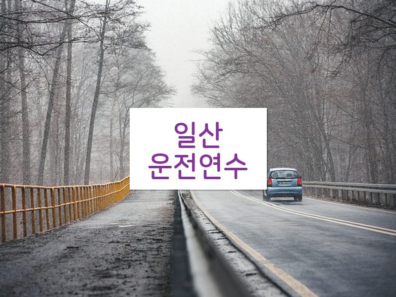 일산운전연수 후기