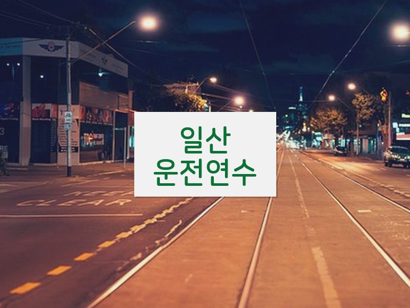 일산운전연수 후기