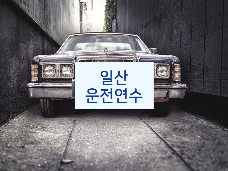 일산운전연수 후기
