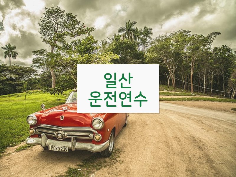 일산운전연수 후기