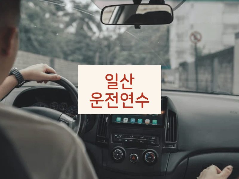 일산운전연수 후기