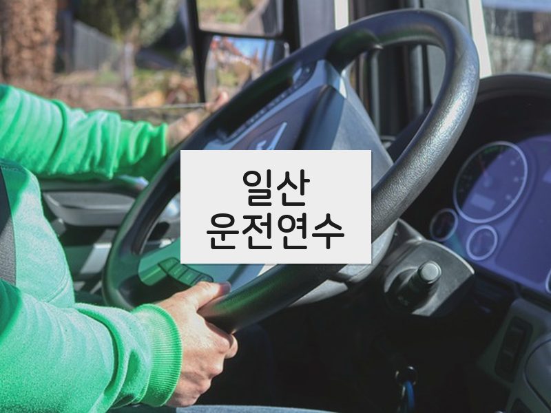 일산운전연수 후기
