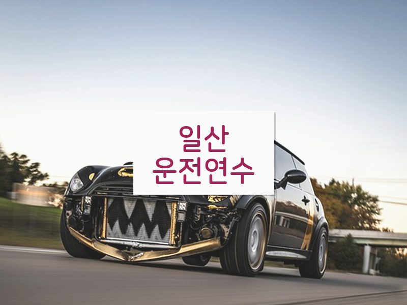 일산운전연수 후기