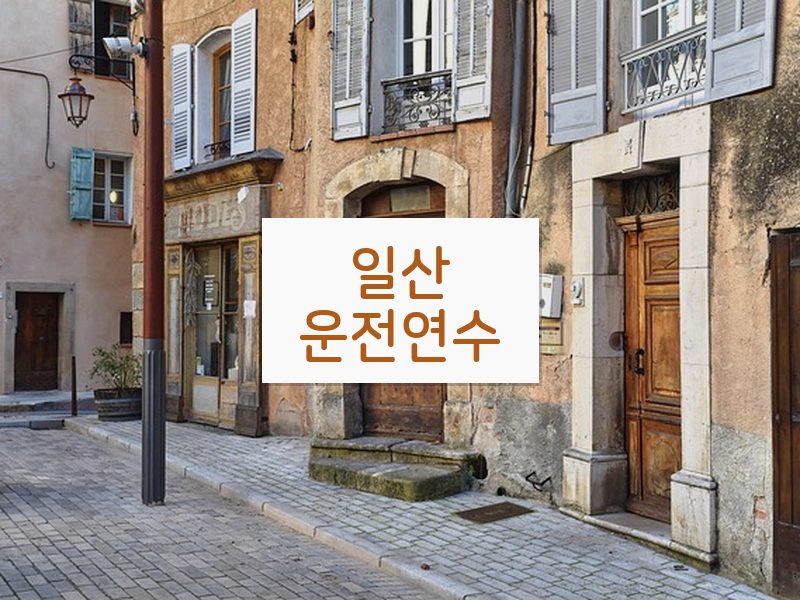 일산운전연수 후기